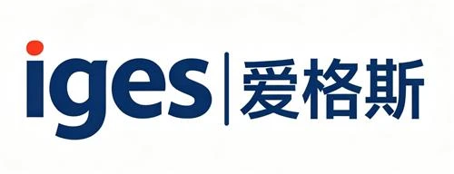 Iges Hljóðfæri Co., Ltd.